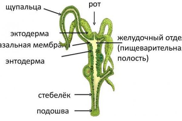 Bs2web at зеркала blacksprut wiki