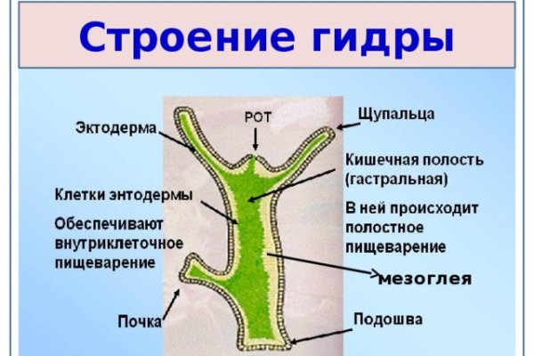 Блэкспрут даркнет blacksprute com