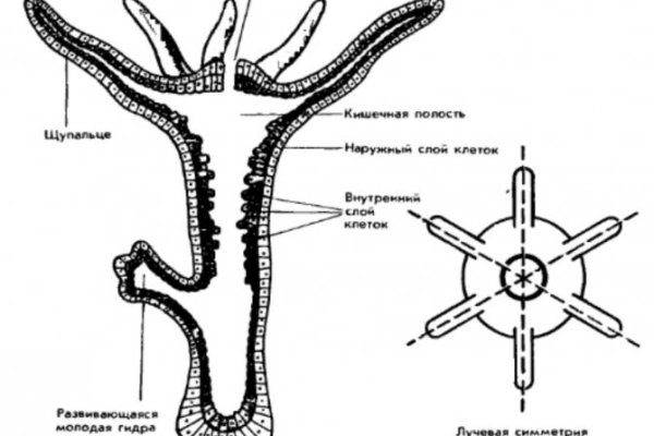 Блэкспрут площадка blacksprut2web in